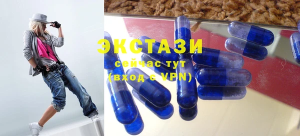хмурый Алексин