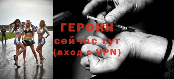 хмурый Алексин