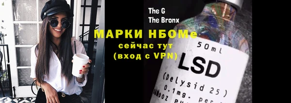 PSILOCYBIN Алзамай