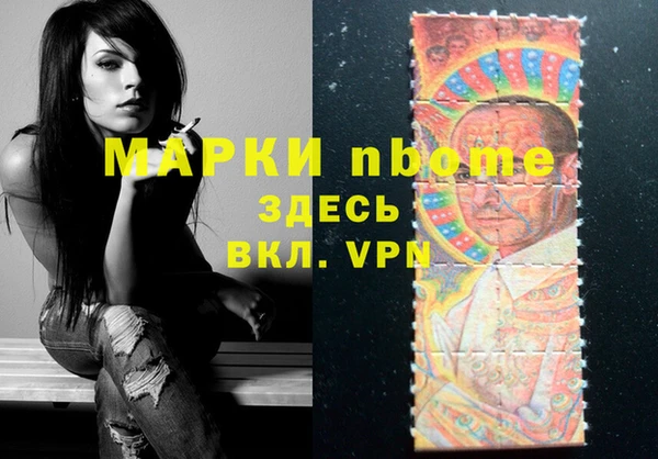 хмурый Алексин