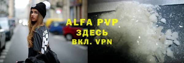 шишки Абаза