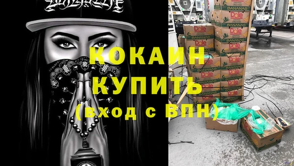 шишки Абаза