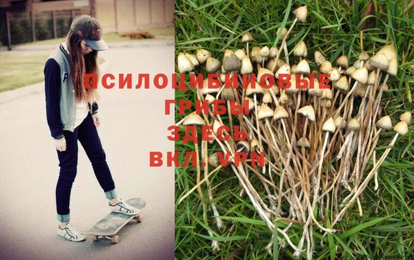хмурый Алексин