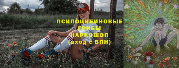 хмурый Алексин
