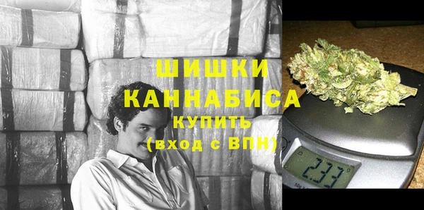 шишки Абаза