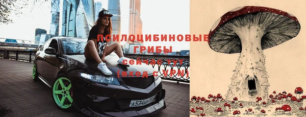 ешки Алексеевка