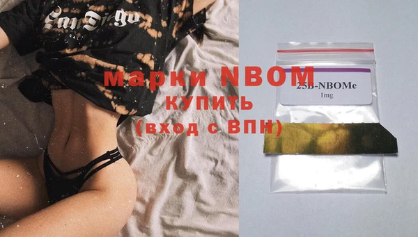 PSILOCYBIN Алзамай