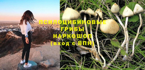 PSILOCYBIN Алзамай