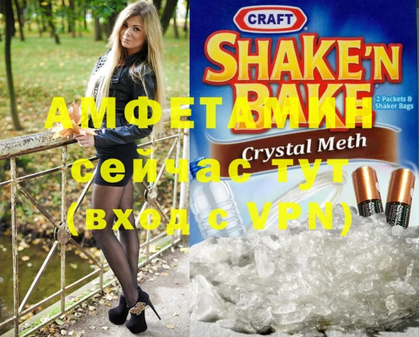 шишки Абаза