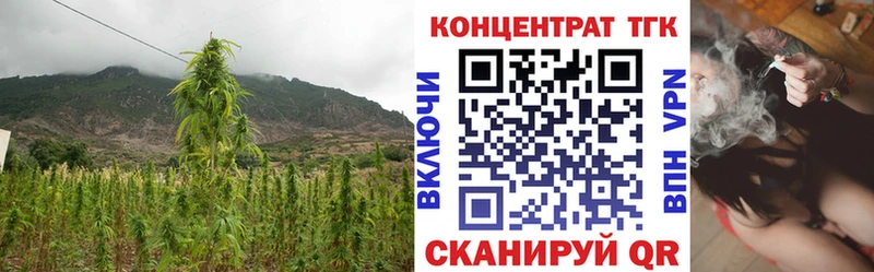 Дистиллят ТГК вейп  Черноголовка 