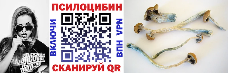 наркошоп  Черноголовка  Псилоцибиновые грибы прущие грибы 