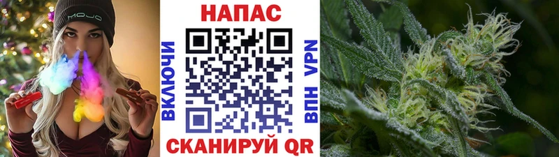 МАРИХУАНА марихуана  OMG ССЫЛКА  Черноголовка 